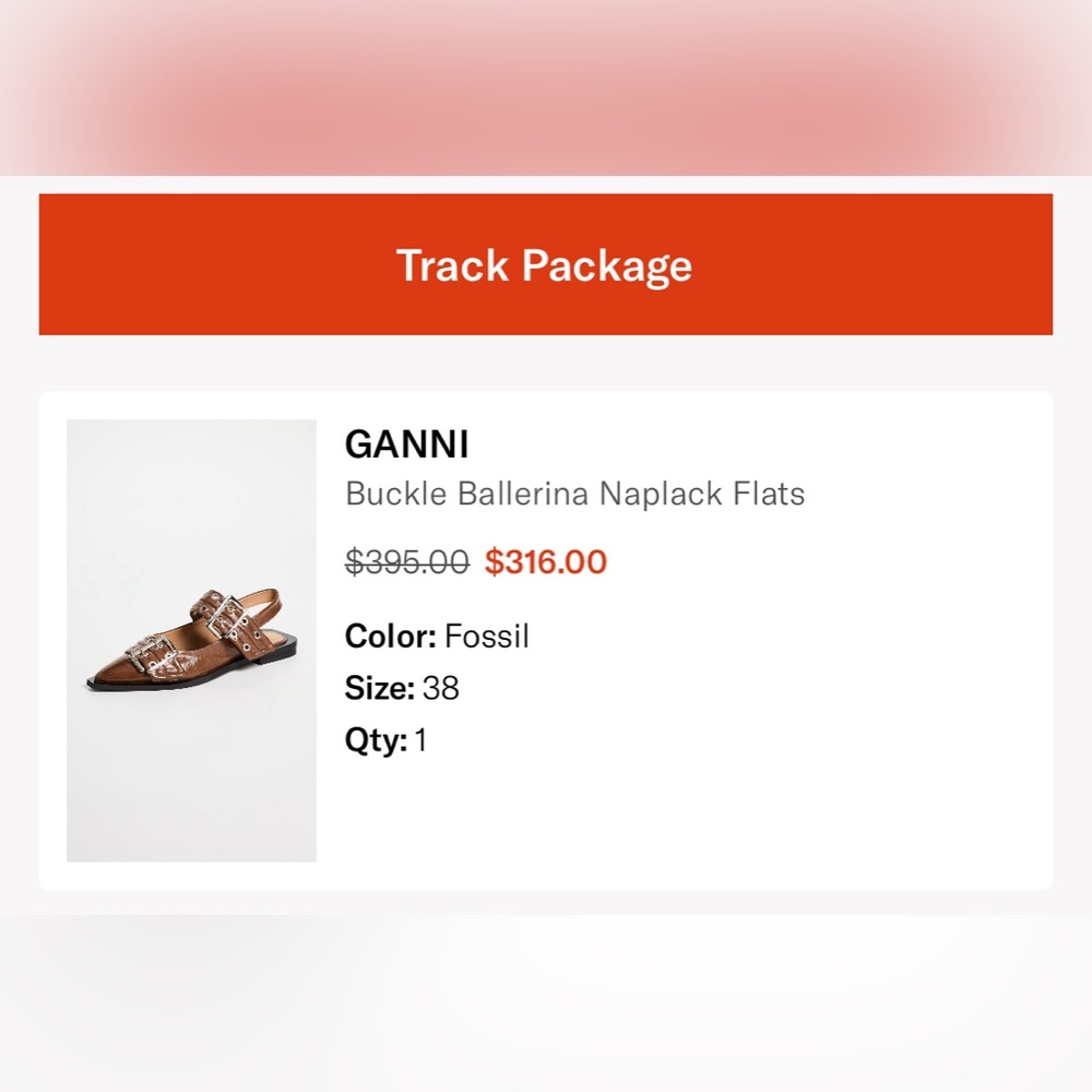 Ganni buckle ballerina naplack flats in fossil